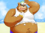 2017 anthro ashigara belly bodily_fluids brown_body brown_fur bullbluedog clothing dessert eyewear food fur hi_res humanoid_hands ice_cream male mammal navel outside overweight overweight_male shirt solo sunglasses sweat tokyo_afterschool_summoners topwear ursid video_games water 