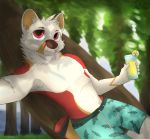  absurd_res anthro armpit_hair beach beverage biped body_hair bottomwear camera_view canid canine canis clothed clothing dhole drinks forest hammock hi_res jklenvu552 lemonade looking_at_viewer male mammal outside pubes seaside shorts solo swimwear tree 