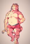  2020 anthro belly bulge clothing cute_fangs felid heylaw21 hi_res humanoid_hands kemono male mammal moobs navel pantherine simple_background slightly_chubby solo tiger underwear 