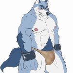  1:1 2020 anthro barazoku blue_body blue_fur blush bulge canid canine canis clothing fur hi_res humanoid_hands kemono male mammal muscular nipples poisonkinoko pubes simple_background solo underwear white_background white_body white_fur wolf 