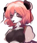  2018 after_transformation anthro black_nose bodily_fluids breasts drooling female fur giant_panda hair mammal pink_hair saliva simple_background solo tongue tongue_out toribako ursid white_background white_body white_fur 