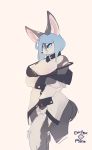  anthro blue_eyes blue_hair bra canid canine canis clothing collar convenient_censorship domestic_dog electrycpynk female fur grey_body grey_fur hair hi_res husky mammal nordic_sled_dog signature simple_background solo spitz underwear white_body white_fur 