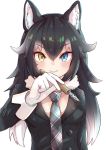  1girl animal_ear_fluff animal_ears artist_request black_hair blue_eyes blush breast_pocket breasts buttons cleavage commentary commentary_request eyebrows_visible_through_hair fur_collar gloves grey_wolf_(kemono_friends) heterochromia highres kemono_friends large_breasts light_smile long_hair looking_at_viewer multicolored_hair pen pocket simple_background solo two-tone_hair white_background white_gloves white_hair wolf_ears wolf_girl yellow_eyes 