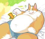  2017 absurd_res anthro belly blush bulge canid canine canis clothing domestic_dog english_text fur ginnosuke hi_res lying male mammal overweight overweight_male solo text underwear white_body white_fur 