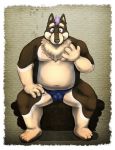  2012 anthro balls_outline belly bulge canid canine canis clothing domestic_dog genital_outline hi_res humanoid_hands kemono male mammal moobs navel overweight overweight_male sitting solo underwear yamacha012 
