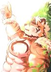  5_fingers abs anthro bodily_fluids claws eyes_closed fangs felid fingers fur grass hi_res hombretigre lying male mammal nipples on_back open_mouth orange_body orange_fur outstretched_arm pantherine pecs ptcmtr scratches solo tears tiger tokyo_afterschool_summoners video_games 