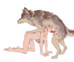  animal_genitalia barefoot canid canine canis duo english_text eyes_closed fellatio feral genitals grey_hair hair hi_res human humanoid kneeing kneeling_down male male/male mammal nude oral oral_penetration penetration penile penis sex text wolf xienoan yoru young 