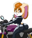  2020 anthro breasts butt clothed clothing digital_media_(artwork) dipstick_ears eyelashes female hair hi_res lagomorph leather leporid looking_at_viewer looking_back mammal mature_female motorcycle multicolored_ears rabbit simple_background smile solo sonic_the_hedgehog_(series) tansau vanilla_the_rabbit vehicle white_background 