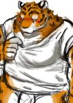  2013 anthro araiguma_11 balls belly blush clothing felid genitals humanoid_hands kemono male mammal navel overweight overweight_male pantherine penis shirt simple_background solo tiger topwear white_background 