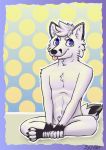  2020 anthro black_body black_fur blue_eyes canid canine canis crossed_legs digital_media_(artwork) fox fur happy hi_res looking_at_viewer male mammal nude silly simple_background sinser sitting solo tongue tongue_out white_body white_fur 