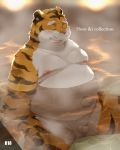  2018 4:5 anthro balls bathing belly blush eyes_closed felid genitals hi_res kemono male mammal moobs navel nikiciy nipples overweight overweight_male pantherine penis sitting solo tiger water 