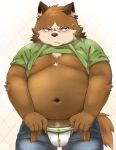  2015 anthro belly blush bottomwear brown_body brown_fur bulge canid canine clothed clothing fur humanoid_hands kemono male mammal moobs navel nikiciy nipples open_shirt overweight overweight_male pants raccoon_dog shirt solo tanuki topwear underwear 