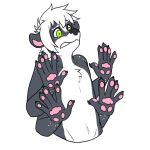  1:1 anthro juniper_skunktaur male mammal mephitid multi_arm multi_limb pawpads skunk solo startled unknown_artist 