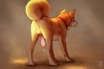  anatomically_correct anatomically_correct_genitalia anatomically_correct_penis anchee animal_genitalia animal_penis anus balls canid canine canine_penis canis collar domestic_dog erection feral genitals knot male mammal penis rear_view simple_background solo 