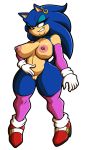  absurd_res alpha_channel anthro arm_warmers armwear big_breasts big_butt breasts butt clothing crossgender damian_hodge ear_piercing eulipotyphlan female genitals gloves handwear hedgehog hi_res legwear looking_pleasured mammal nipple_piercing nipples piercing presenting presenting_pussy pussy solo solo_focus sonic_the_hedgehog sonic_the_hedgehog_(series) stockings wide_hips 