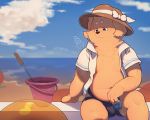  2020 absurd_res anthro beach belly brown_body brown_fur bulge canid canine canis clothed clothing domestic_dog fur hat headgear headwear hi_res humanoid_hands kemono male mammal navel open_shirt outside piero03432812 seaside shirt sitting slightly_chubby solo topwear underwear water 