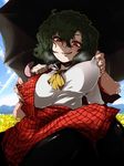  ascot blue_sky breasts commentary_request day field flower flower_field green_hair grin hands harusame_(unmei_no_ikasumi) highres kazami_yuuka large_breasts nipple_pull open_clothes open_vest pantyhose parasol red_eyes shirt short_hair skirt sky smile solo sweat touhou umbrella vest 
