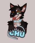  2020 anthro badge barefoot biped black_body black_fur black_nose blep blue_claws blue_collar blue_pawpads blue_text brown_body brown_fur bust_portrait caim_(chu-tora) canid canine canis cheek_tuft claws collar digital_drawing_(artwork) digital_media_(artwork) domestic_dog facial_tuft feral front_view fur green_eyes grey_background grey_body grey_fur half-closed_eyes head_tuft inner_ear_fluff kazuk9 leash looking_aside looking_away male mammal mostly_nude multicolored_body multicolored_fur narrowed_eyes neck_tuft one_eye_closed pawpads paws portrait semi-anthro shikoku_ken simple_background smile solo spitz tan_tongue text tongue tongue_out tuft 