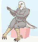  accipitrid accipitriform avian bird breasts eagle feathers female lavilovi nipples pinup pose pubes slightly_chubby smile smirk solo talons wings 