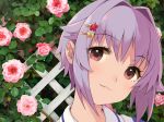  1girl :3 brown_eyes flower flower_request hair_ornament hairpin head_tilt idolmaster idolmaster_cinderella_girls kirarin369 koshimizu_sachiko ouran_high_school_host_club purple_hair short_hair solo 