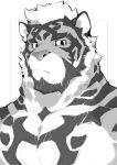  anthro black_and_white felid fur male mammal markings monochrome muscular muscular_male null-ghost null-ghost_(character) pantherine pecs solo tiger 