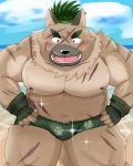  2020 4:5 anthro beach belly black_nose blush brown_body brown_fur bulge canid canine canis clothing domestic_dog fur hi_res humanoid_hands kemono male mammal mohumohudansi moobs nipples outside overweight overweight_male scar seaside solo tokyo_afterschool_summoners underwear video_games water yasuyori 