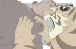  2020 82ma47u anthro duo eyes_closed felid gadoran humanoid_hands kemono male mammal moobs nipples pantherine simple_background teeth tiger 