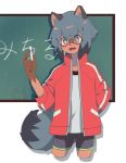  2020 5_fingers anthro black_body black_fur black_hair blue_body blue_eyes blue_fur blue_hair brand_new_animal brown_body brown_fur canid canine chalk chalkboard clotehd clothed clothing female fingers fluffy fluffy_tail fur hair hand_behind_back hi_res holding_object jacket kashima_(ludao_mo) looking_at_viewer mammal michiru_kagemori multicolored_body multicolored_eyes multicolored_fur multicolored_hair open_mouth pink_eyes portrait raccoon_dog short_hair solo studio_trigger tanuki three-quarter_portrait topwear 