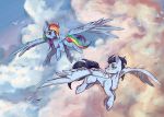  absurd_res avian bird cloudscape duo equid equine female feral flying friendship_is_magic hi_res horse male male/female mammal my_little_pony pony pterippus rainbow_dash_(mlp) sky soarin_(mlp) tired_dog wings wonderbolts_(mlp) 