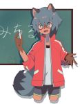  2020 5_fingers anthro black_body black_fur black_hair blue_body blue_eyes blue_fur blue_hair brand_new_animal brown_body brown_fur canid canine chalk chalkboard clothed clothing female fingers fluffy fluffy_tail fur hair hi_res holding_object jacket kashima_(ludao_mo) looking_at_viewer mammal michiru_kagemori multicolored_body multicolored_eyes multicolored_fur multicolored_hair open_mouth pink_eyes portrait raccoon_dog short_hair solo studio_trigger tanuki three-quarter_portrait topwear 