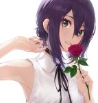  1girl arm_up armpits black_neckwear black_ribbon brown_choker chainsaw_man choker collared_shirt commentary_request flower green_eyes hair_between_eyes highres holding holding_flower lead looking_at_viewer neck_ribbon parted_lips purple_hair red_flower red_rose ribbon rose shirt short_hair sidelocks simple_background sleeveless sleeveless_shirt solo suketoudara_(artist) teeth upper_body white_background wing_collar 
