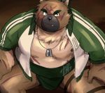  2020 anthro belly brown_body brown_fur canid canine canis cute_fangs domestic_dog fur hi_res humanoid_hands kemono male mammal moobs nipples overweight overweight_male sawch_cls scar solo sumo tokyo_afterschool_summoners video_games yasuyori 