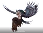 2020 beak digital_media_(artwork) feathered_wings feathers simple_background strigiformes wings 