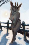  animal_humanoid anthro breasts casual_nudity cold female forest fur hair hi_res humanoid lagomorph lagomorph_humanoid leporid leporid_humanoid mammal mammal_humanoid nipples nude outside rabbit rabbit_humanoid simple_background snow solo tree winter zoke 