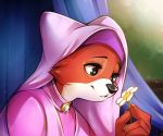  anthro canid canine clothing disney female flower fox hood maid_marian mammal plant robin_hood_(disney) solo spirale 