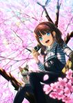  1girl bangs blue_eyes brown_hair camera cat cherry_blossoms day eyebrows_visible_through_hair kyon_(fuuran) open_mouth original overalls pet_collar sitting solo twintails 