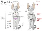  anthro banned_squid blush canid canine censored clothing embarrassed english_text female fennec fox hi_res mammal model_sheet panties scrunchy_face smile solo text underwear 