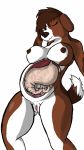  9:16 anthro beagle belly big_belly blush breasts brown_body brown_fur canid canine canis domestic_dog female female_pred fur genitals guts hair hi_res hunting_dog internal intestines mammal nude pussy scent_hound solo stomach wide_hips 
