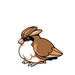  bird bird_focus claws commentary creature english_commentary full_body gen_1_pokemon no_humans pidgey pokemon pokemon_(creature) rumwik signature solo 