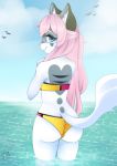  anthro bikini blue_eyes butt clothing domestic_cat felid feline felis female heart_marking hi_res mammal outside partially_submerged rear_view sea solo swimwear unluckypaw water 