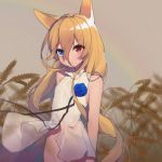  1girl acidear animal_ears arms_behind_back bare_arms bare_shoulders blonde_hair blue_eyes blue_flower closed_mouth cowboy_shot dog_ears expressionless flat_chest flower g41_(girls_frontline) girls_frontline groin hair_between_eyes heterochromia highres long_hair looking_at_viewer no_panties red_eyes rose shirt sleeveless sleeveless_shirt solo very_long_hair wheat wheat_field white_shirt 