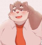  2020 anthro belly blush clothing domestic_cat felid feline felis hi_res humanoid_hands kemono kwzu male mammal overweight overweight_male pink_nose shirt simple_background sitri solo tokyo_afterschool_summoners topwear video_games 