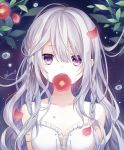  1girl bangs bare_shoulders braid dress flower hair_between_eyes kuroi_(liar-player) long_hair looking_at_viewer mouth_hold original petals purple_eyes signature silver_hair solo twin_braids upper_body water_drop white_dress 