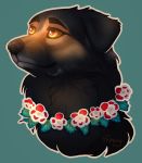  amber_eyes artist_name black_body black_ears black_fur black_nose canid canine canis domestic_dog floppy_ears flower_necklace fluffy fur hi_res leaf mammal red_flower signature simple_background solo vhitany white_flower 
