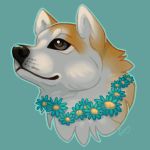  1:1 2020 ambiguous_gender artist_name black_nose canid canine canis domestic_dog flower flower_necklace fur hi_res mammal multicolored_body multicolored_ears multicolored_fur plant simple_background vhitany 