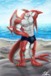  anthro beach clothed clothing dragon fish hi_res hybrid male marine muscular muscular_male orcatexdraws partially_clothed pinup pose seaside shark solo standing wet 