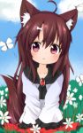  1girl :&lt; ahoge animal_ear_fluff animal_ears blue_sky bone_hair_ornament brooch brown_hair bug butterfly chinoru cloud day eyebrows_visible_through_hair flower frilled_sleeves frills grass hair_between_eyes highres imaizumi_kagerou insect jewelry long_hair long_sleeves red_eyes red_skirt skirt sky solo tail touhou wolf_ears wolf_tail younger 