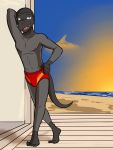  3:4 anthro anthrofied beach bulge clothed clothing fuze hi_res male navel nintendo nipples outside pok&eacute;mon pok&eacute;mon_(species) salazzle seaside seductive slick_(fuze) solo speedo swimwear topless video_games 