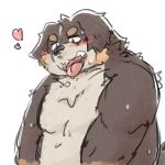  &lt;3 1:1 2020 anthro belly blush bodily_fluids brown_body brown_fur canid canine canis domestic_dog fur kemono kota&acute; male mammal overweight overweight_male simple_background solo sweat tongue tongue_out white_background 