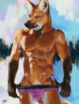  2020 abs abstract_background anthro bulge canid canine clothed clothing hi_res jaykat male mammal maned_wolf muscular nipples pecs solo underwear 